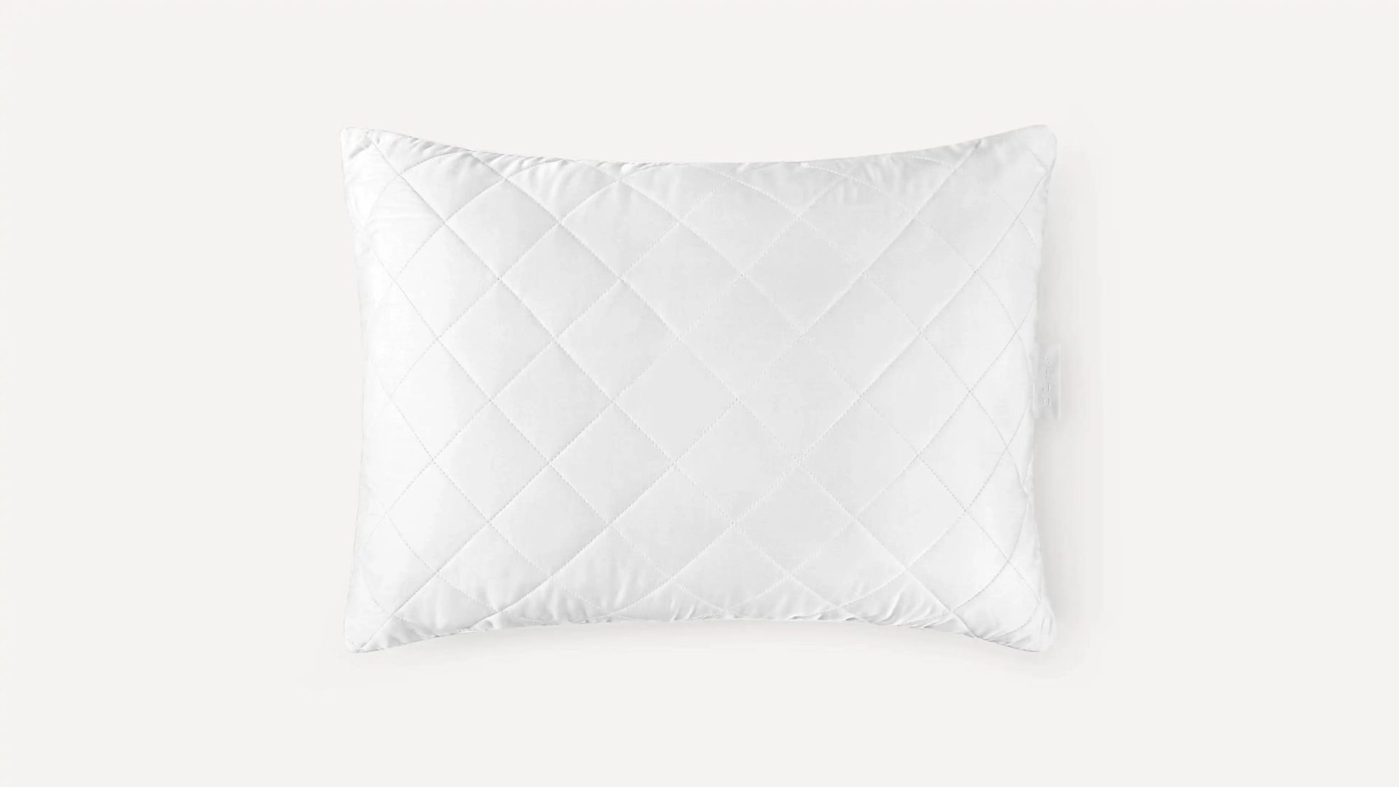 Eucalyptus Pillow Insert